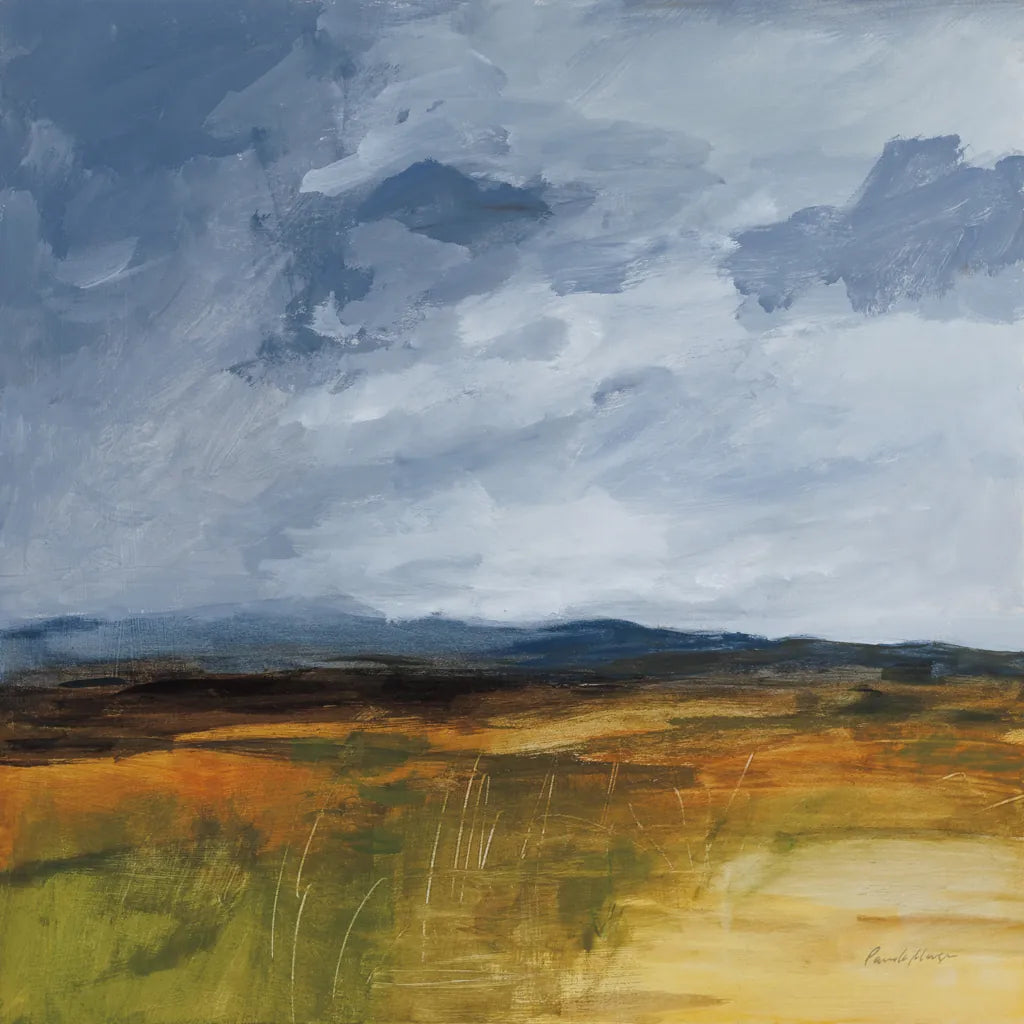 Storm Over Buckhorn by Pamela Munger. SKU 87348a. Archival Giclee Fine art print for wall decor.