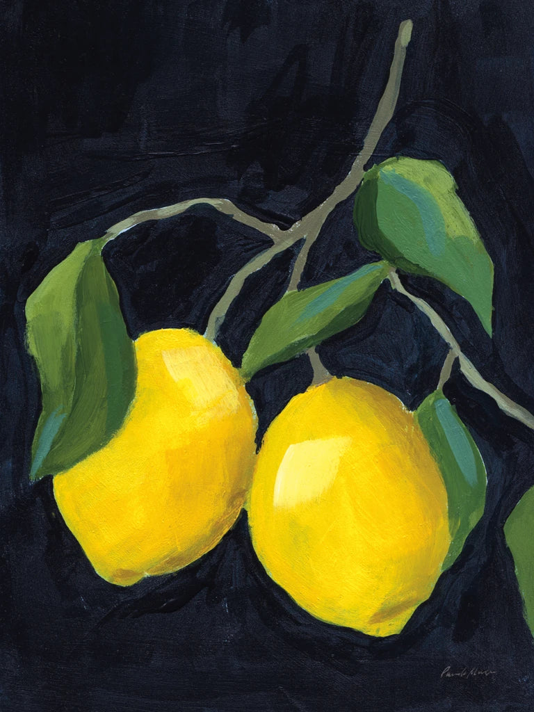 Two Lemons by Pamela Munger