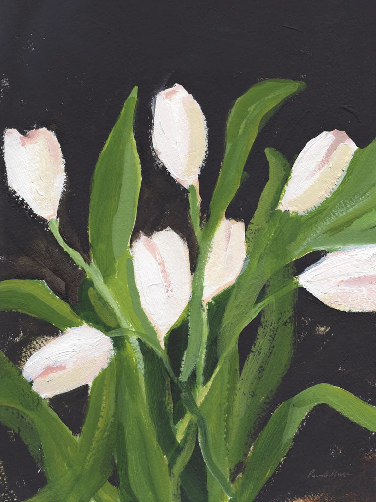White Tulips on Black by Pamela Munger