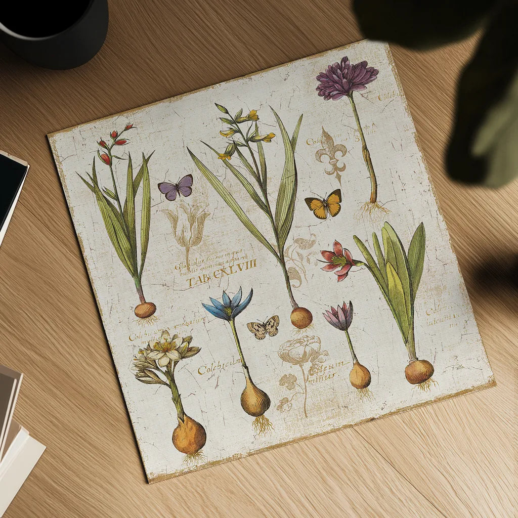 Histoire Naturelle V by Pela. Shown as a detailed flat fine art print, highlighting archival giclee quality. Available as an archival giclee rolled canvas, fine art paper, or poster print. SKU 13857a.