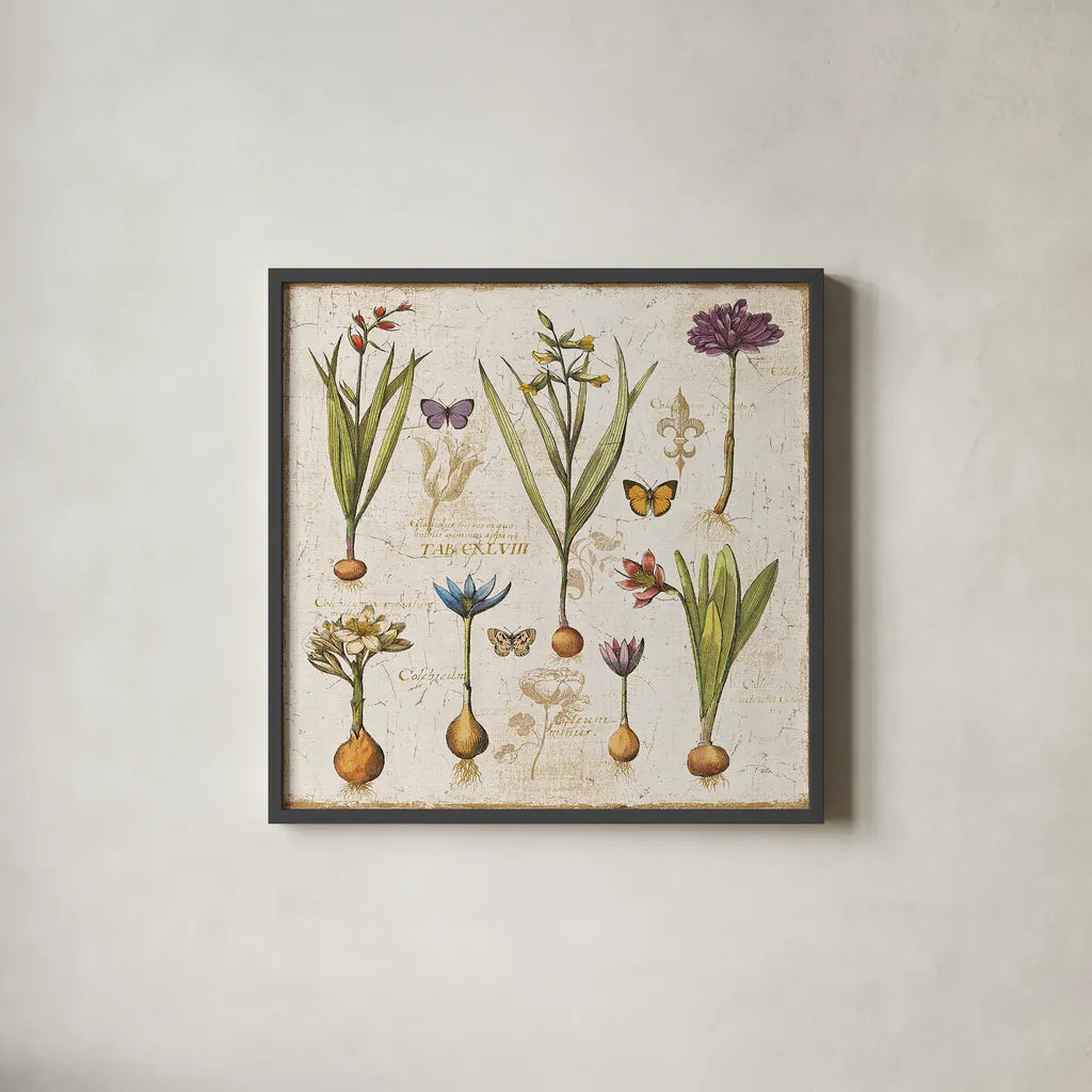 Histoire Naturelle V by Pela. Shown in a sleek black glass frame for a contemporary gallery look. Available as an archival giclee rolled canvas, fine art paper, or poster print. SKU 13857a.