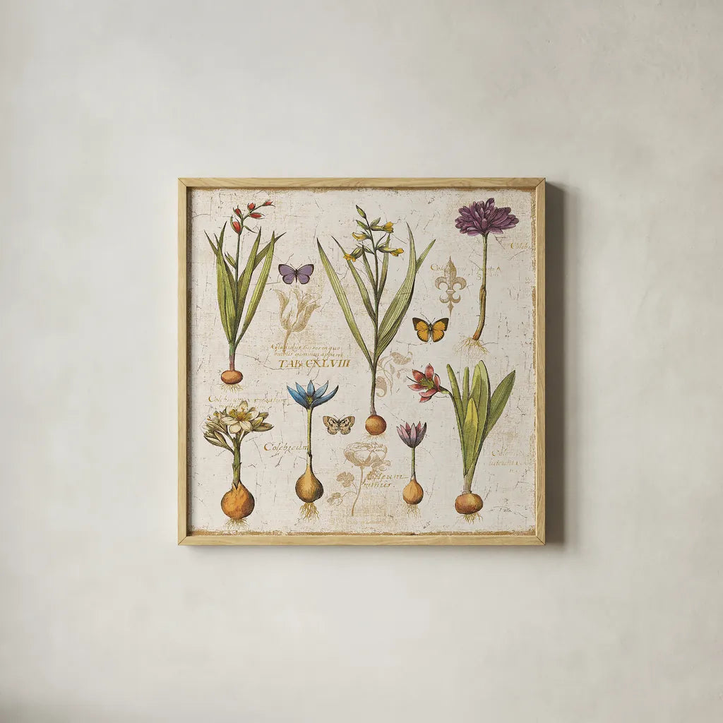 Histoire Naturelle V by Pela. Shown in a natural wood glass frame for a timeless modern aesthetic. Available as an archival giclee rolled canvas, fine art paper, or poster print. SKU 13857a.