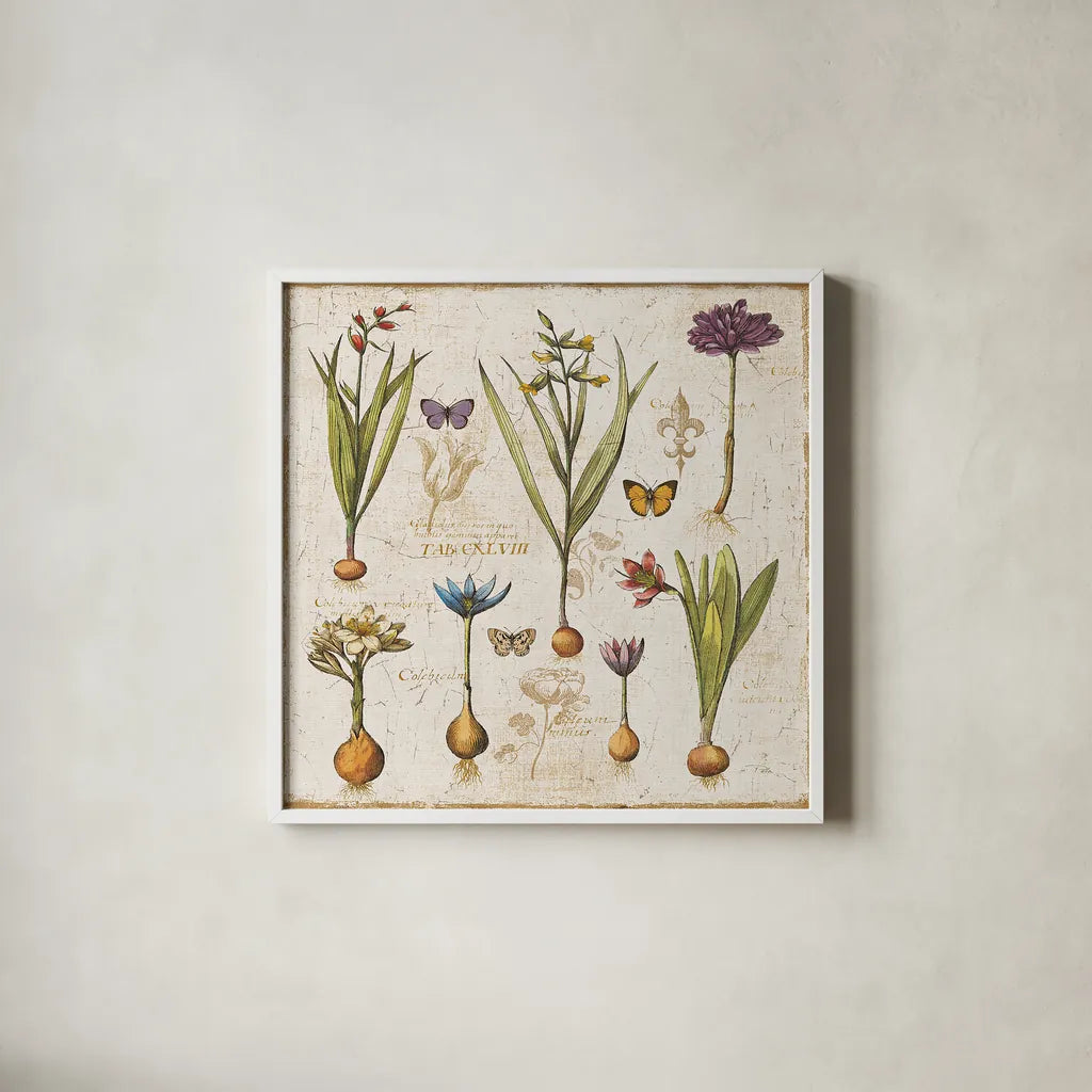 Histoire Naturelle V by Pela. Shown in a crisp white glass frame for a clean and minimalist style. Available as an archival giclee rolled canvas, fine art paper, or poster print. SKU 13857a.