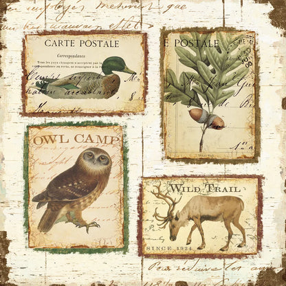 Lodge Memories I by Pela. SKU 13508a. Archival Giclee Fine art print for wall decor.