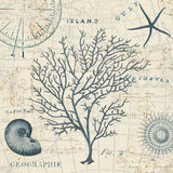 Ocean Life IV no Border by Pela. SKU 14883a. Archival Giclee Fine art print for wall decor.