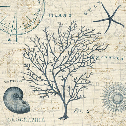 Ocean Life IV no Border by Pela. SKU 14883a. Archival Giclee Fine art print for wall decor.