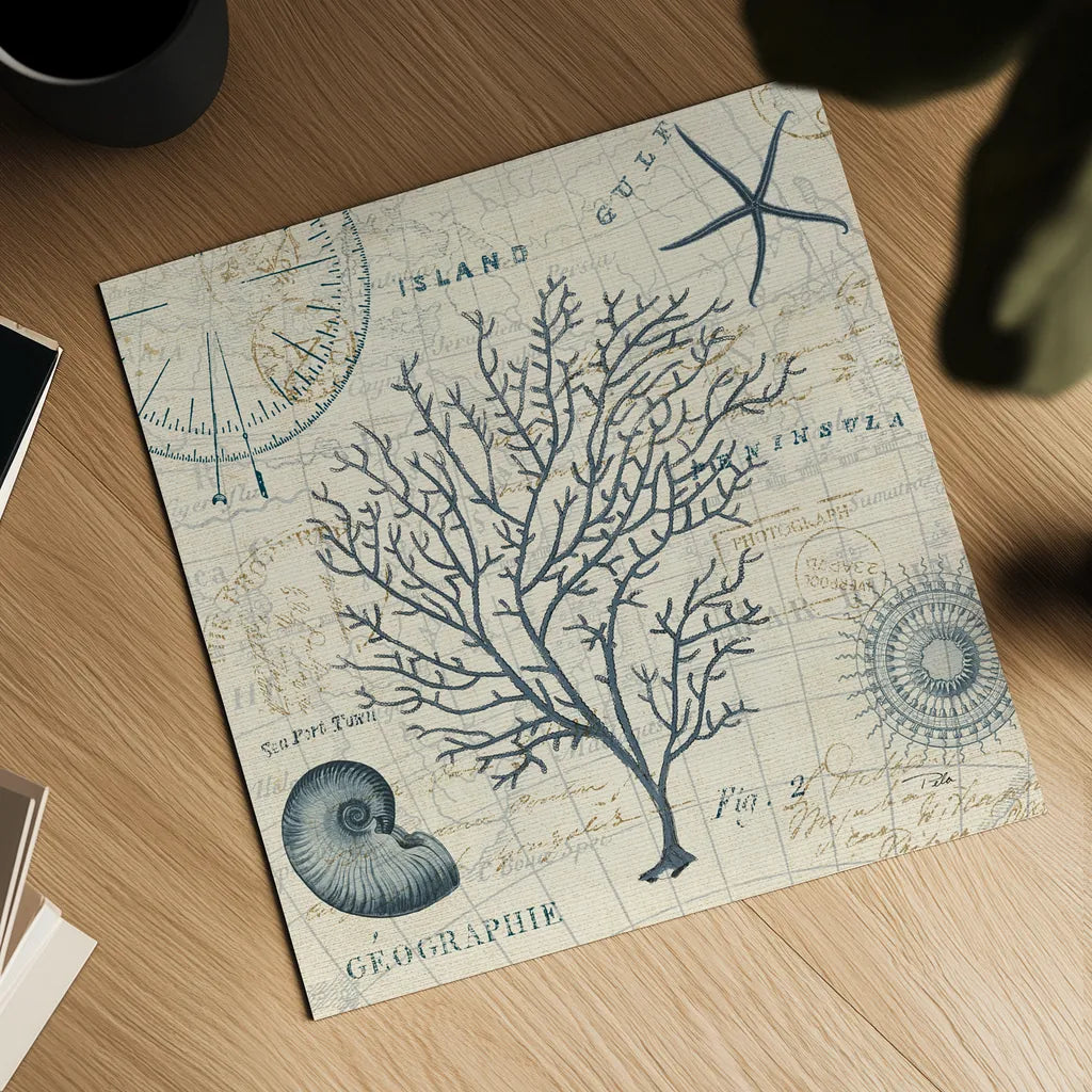 Ocean Life IV no Border by Pela. Shown as a detailed flat fine art print, highlighting archival giclee quality. Available as an archival giclee rolled canvas, fine art paper, or poster print. SKU 14883a.