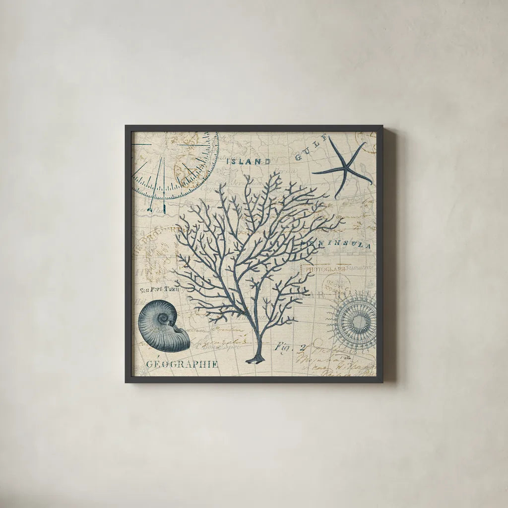 Ocean Life IV no Border by Pela. Shown in a sleek black glass frame for a contemporary gallery look. Available as an archival giclee rolled canvas, fine art paper, or poster print. SKU 14883a.