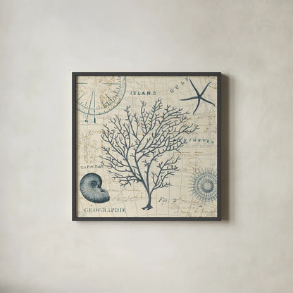 Ocean Life IV no Border by Pela. Shown in a sleek black glass frame for a contemporary gallery look. Available as an archival giclee rolled canvas, fine art paper, or poster print. SKU 14883a.