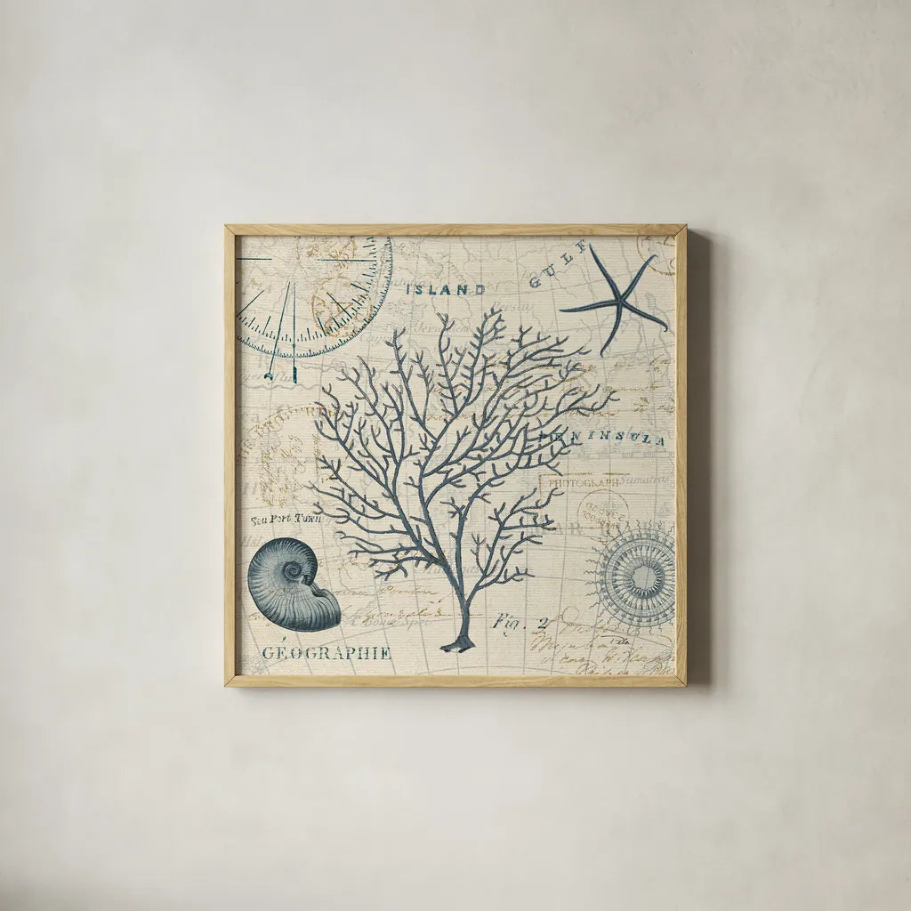 Ocean Life IV no Border by Pela. Shown in a natural wood glass frame for a timeless modern aesthetic. Available as an archival giclee rolled canvas, fine art paper, or poster print. SKU 14883a.