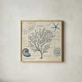 Ocean Life IV no Border by Pela. Shown in a natural wood glass frame for a timeless modern aesthetic. Available as an archival giclee rolled canvas, fine art paper, or poster print. SKU 14883a.