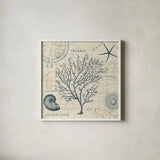 Ocean Life IV no Border by Pela. Shown in a crisp white glass frame for a clean and minimalist style. Available as an archival giclee rolled canvas, fine art paper, or poster print. SKU 14883a.