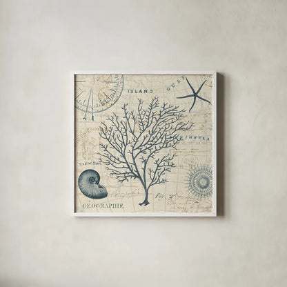 Ocean Life IV no Border by Pela. Shown in a crisp white glass frame for a clean and minimalist style. Available as an archival giclee rolled canvas, fine art paper, or poster print. SKU 14883a.