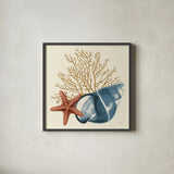 Ocean Life IX by Pela. Shown in a sleek black glass frame for a contemporary gallery look. Available as an archival giclee rolled canvas, fine art paper, or poster print. SKU 104775a.