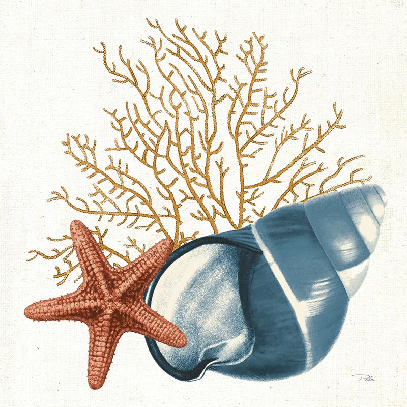 Ocean Life IX v2 by Pela