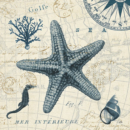 Ocean Life V no Border by Pela. SKU 14884a. Archival Giclee Fine art print for wall decor.