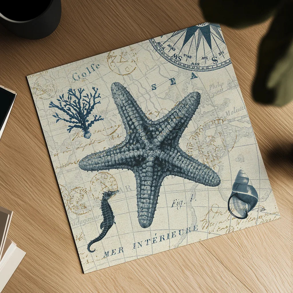 Ocean Life V no Border by Pela. Shown as a detailed flat fine art print, highlighting archival giclee quality. Available as an archival giclee rolled canvas, fine art paper, or poster print. SKU 14884a.