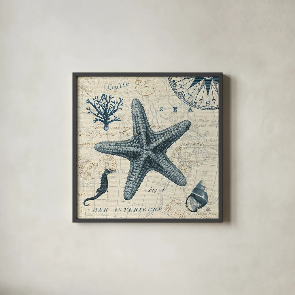 Ocean Life V no Border by Pela. Shown in a sleek black glass frame for a contemporary gallery look. Available as an archival giclee rolled canvas, fine art paper, or poster print. SKU 14884a.
