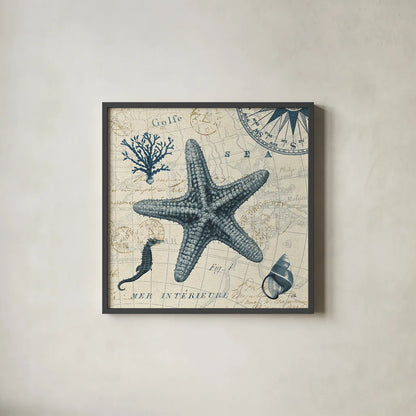 Ocean Life V no Border by Pela. Shown in a sleek black glass frame for a contemporary gallery look. Available as an archival giclee rolled canvas, fine art paper, or poster print. SKU 14884a.