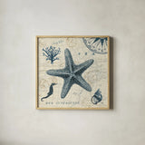 Ocean Life V no Border by Pela. Shown in a natural wood glass frame for a timeless modern aesthetic. Available as an archival giclee rolled canvas, fine art paper, or poster print. SKU 14884a.