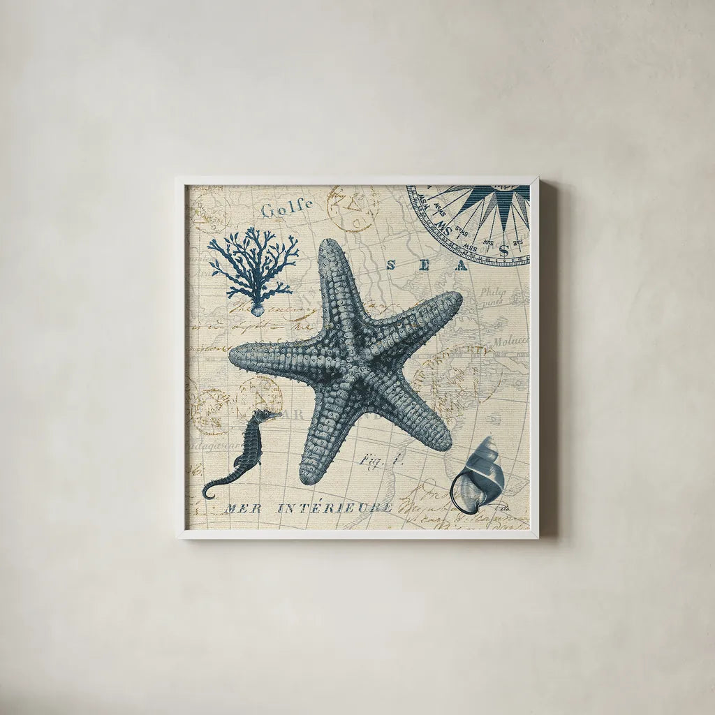 Ocean Life V no Border by Pela. Shown in a crisp white glass frame for a clean and minimalist style. Available as an archival giclee rolled canvas, fine art paper, or poster print. SKU 14884a.