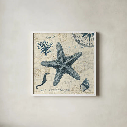 Ocean Life V no Border by Pela. Shown in a crisp white glass frame for a clean and minimalist style. Available as an archival giclee rolled canvas, fine art paper, or poster print. SKU 14884a.