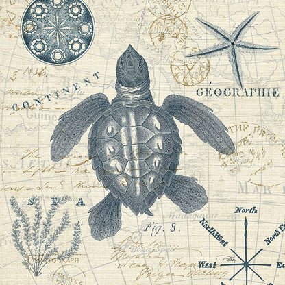 Ocean Life VI no Border by Pela. SKU 45398a. Archival Giclee Fine art print for wall decor.