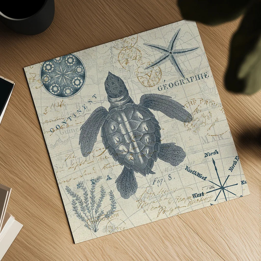 Ocean Life VI no Border by Pela. Shown as a detailed flat fine art print, highlighting archival giclee quality. Available as an archival giclee rolled canvas, fine art paper, or poster print. SKU 45398a.