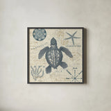 Ocean Life VI no Border by Pela. Shown in a sleek black glass frame for a contemporary gallery look. Available as an archival giclee rolled canvas, fine art paper, or poster print. SKU 45398a.
