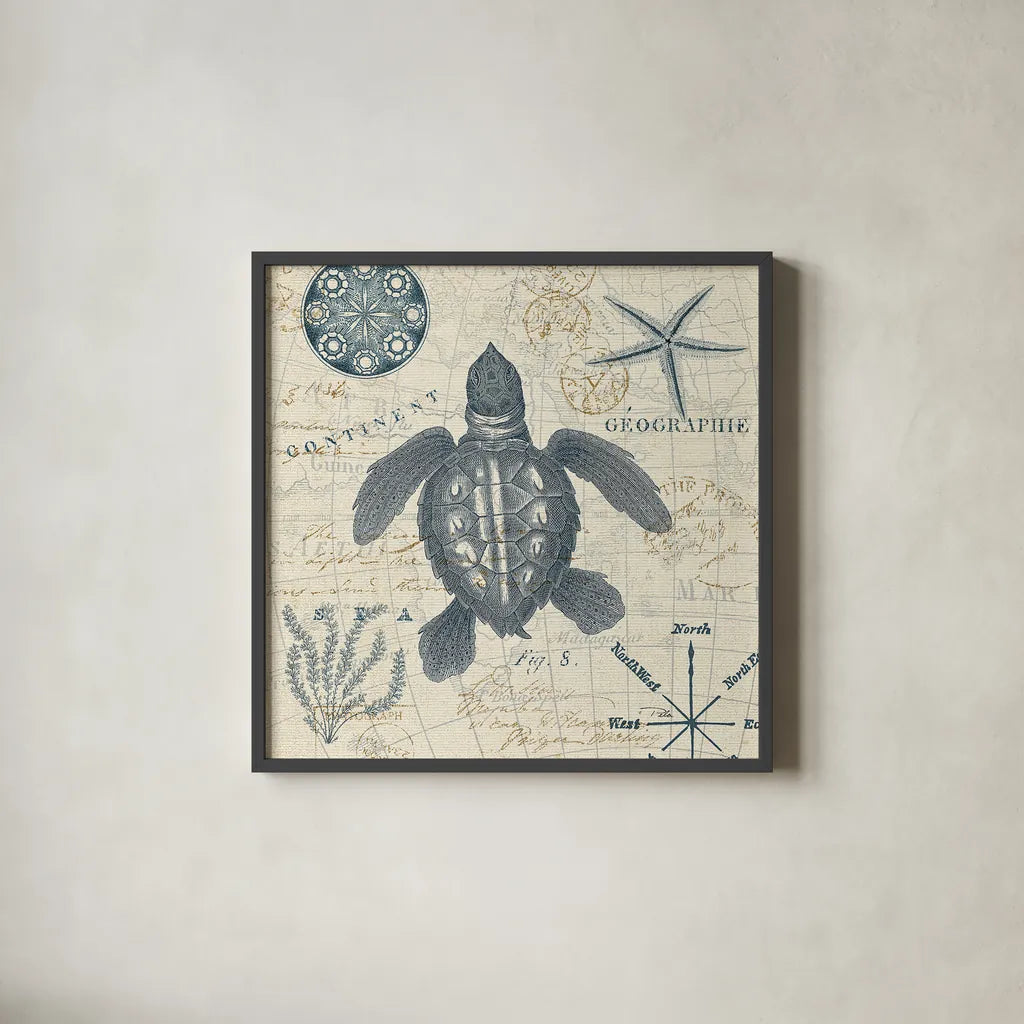 Ocean Life VI no Border by Pela. Shown in a sleek black glass frame for a contemporary gallery look. Available as an archival giclee rolled canvas, fine art paper, or poster print. SKU 45398a.