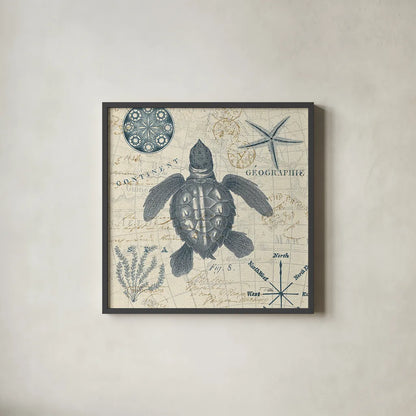 Ocean Life VI no Border by Pela. Shown in a sleek black glass frame for a contemporary gallery look. Available as an archival giclee rolled canvas, fine art paper, or poster print. SKU 45398a.