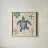 Ocean Life VI no Border by Pela. Shown in a natural wood glass frame for a timeless modern aesthetic. Available as an archival giclee rolled canvas, fine art paper, or poster print. SKU 45398a.