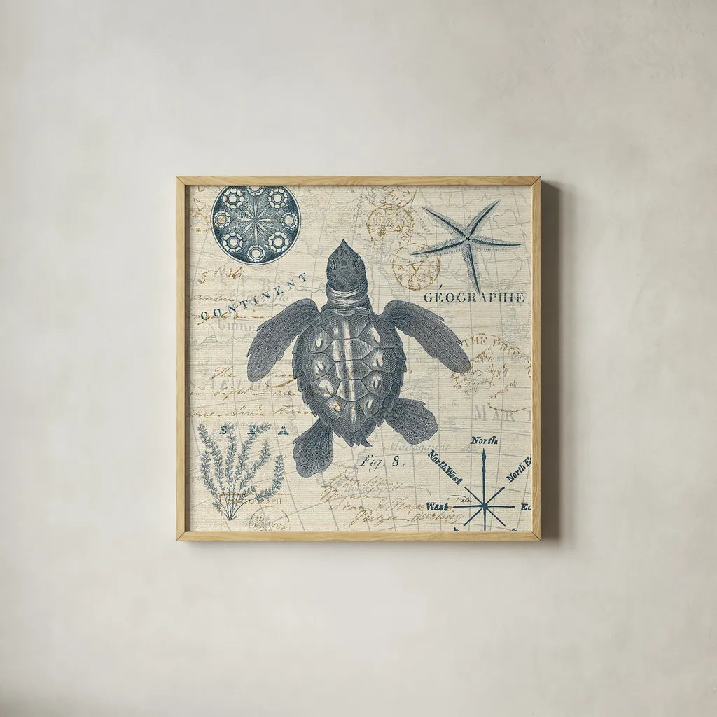 Ocean Life VI no Border by Pela. Shown in a natural wood glass frame for a timeless modern aesthetic. Available as an archival giclee rolled canvas, fine art paper, or poster print. SKU 45398a.