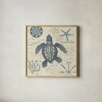 Ocean Life VI no Border by Pela. Shown in a natural wood glass frame for a timeless modern aesthetic. Available as an archival giclee rolled canvas, fine art paper, or poster print. SKU 45398a.