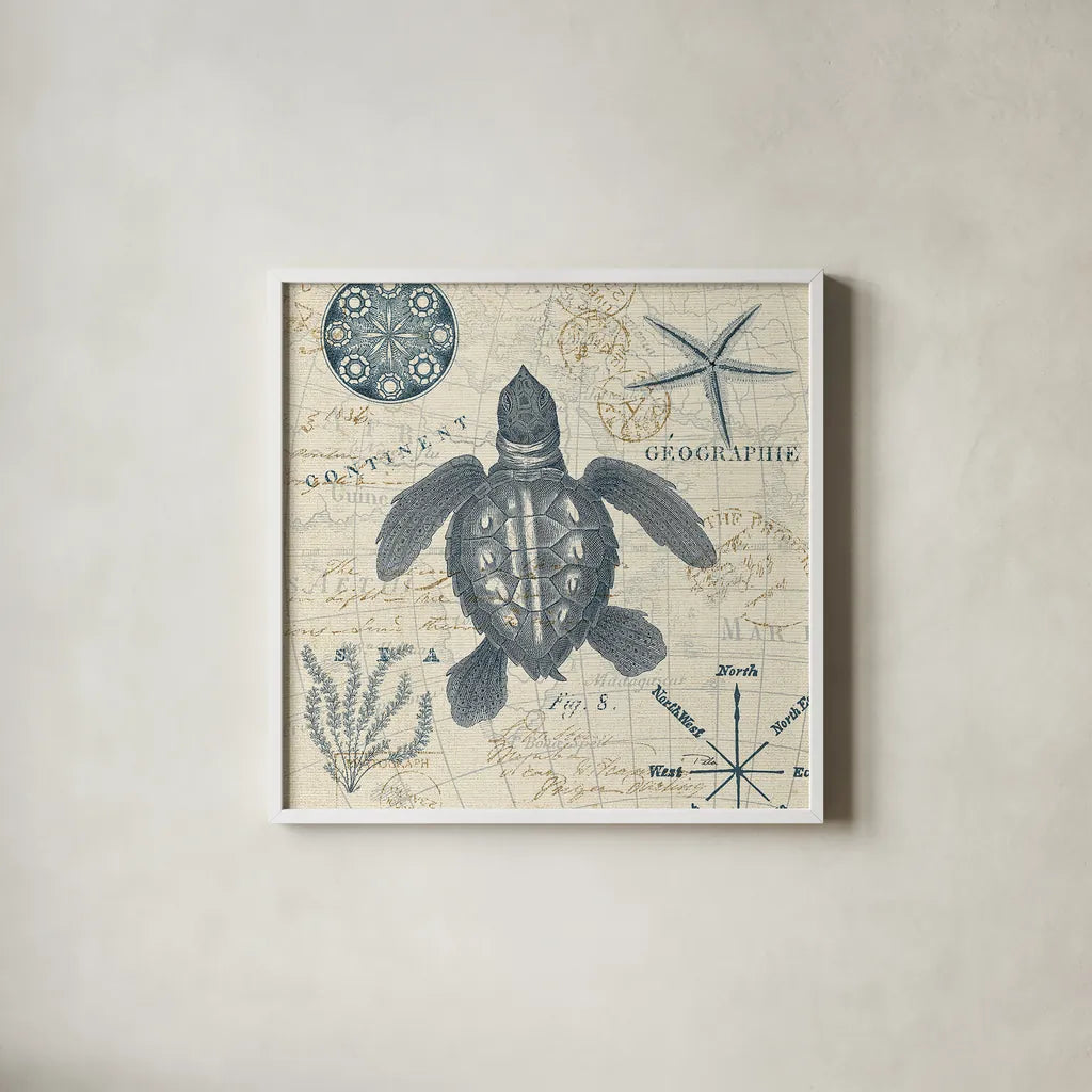 Ocean Life VI no Border by Pela. Shown in a crisp white glass frame for a clean and minimalist style. Available as an archival giclee rolled canvas, fine art paper, or poster print. SKU 45398a.