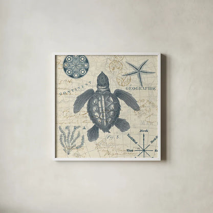 Ocean Life VI no Border by Pela. Shown in a crisp white glass frame for a clean and minimalist style. Available as an archival giclee rolled canvas, fine art paper, or poster print. SKU 45398a.