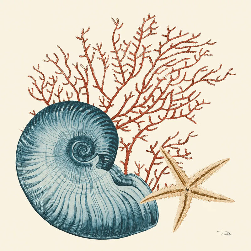 Ocean Life VIII by Pela. SKU 104774a. Archival Giclee Fine art print for wall decor.