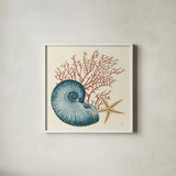 Ocean Life VIII by Pela. Shown in a crisp white glass frame for a clean and minimalist style. Available as an archival giclee rolled canvas, fine art paper, or poster print. SKU 104774a.