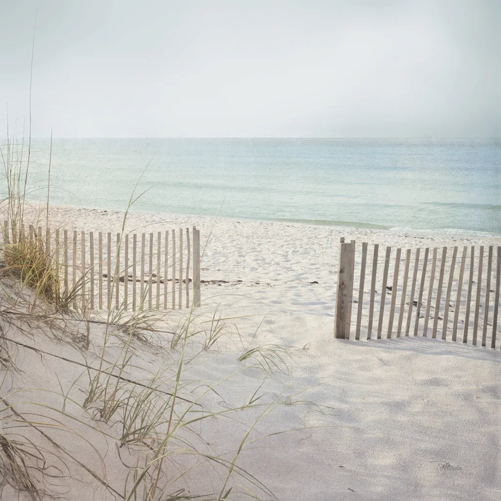 Beach Fence by Pela Studio. SKU 76252a. Archival Giclee Fine art print for wall decor.