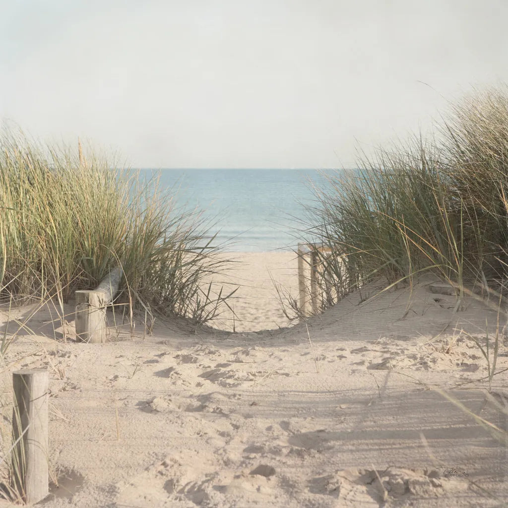 Beach Grasses by Pela Studio. SKU 76251a. Archival Giclee Fine art print for wall decor.