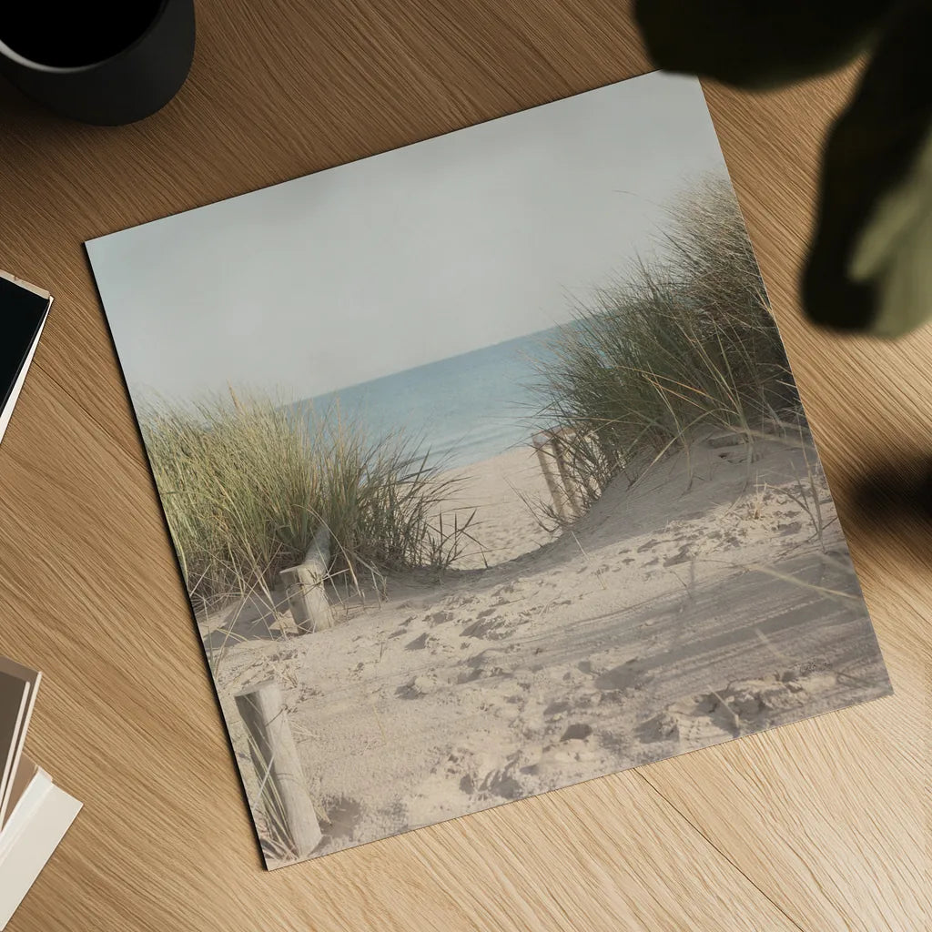 Beach Grasses by Pela Studio. Shown as a detailed flat fine art print, highlighting archival giclee quality. Available as an archival giclee rolled canvas, fine art paper, or poster print. SKU 76251a.