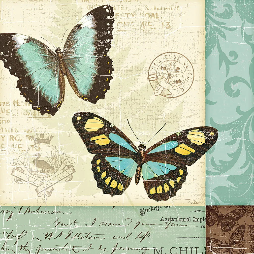 Butterfly Patchwork II by Pela Studio. SKU 6873a. Archival Giclee Fine art print for wall decor.