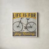 Joy Ride I by Pela Studio. Shown in a crisp white glass frame for a clean and minimalist style. Available as an archival giclee rolled canvas, fine art paper, or poster print. SKU 14836a.