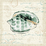 Ocean Prints I by Pela Studio. SKU 10726a. Archival Giclee Fine art print for wall decor.