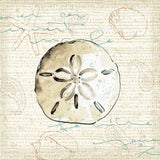Ocean Prints IV by Pela Studio. SKU 10729a. Archival Giclee Fine art print for wall decor.