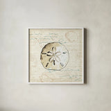 Ocean Prints IV by Pela Studio. Shown in a crisp white glass frame for a clean and minimalist style. Available as an archival giclee rolled canvas, fine art paper, or poster print. SKU 10729a.