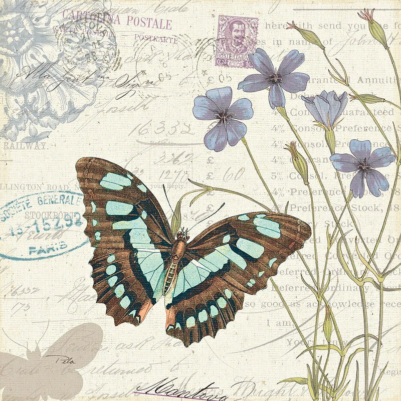Papillon Tales I by Pela Studio. SKU 7621a. Archival Giclee Fine art print for wall decor.