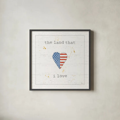 USA Cuties III Shiplap by Pela Studio. Shown in a sleek black glass frame for a contemporary gallery look. Available as an archival giclee rolled canvas, fine art paper, or poster print. SKU 38807a.