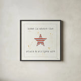 USA Cuties IV by Pela Studio. Shown in a sleek black glass frame for a contemporary gallery look. Available as an archival giclee rolled canvas, fine art paper, or poster print. SKU 24165a.