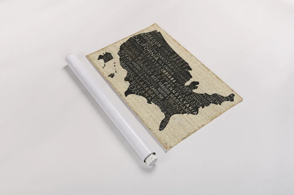 USA V by Pela Studio. shown as a rolled paper print. Available as archival giclee rolled canvas, fine art paper, or poster print. SKU 7844i.